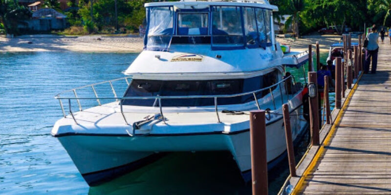 Samui Easy Divers