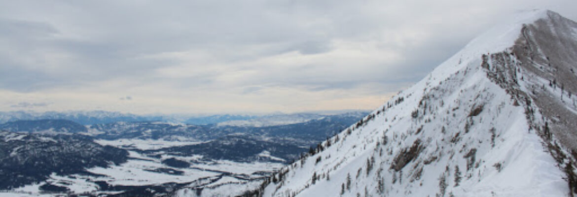 Bridger Bowl Ski Area