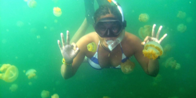 Warm Water Divers