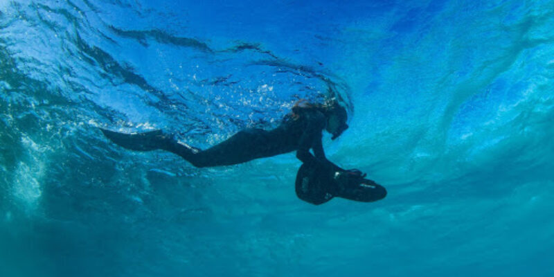 Karma Dives