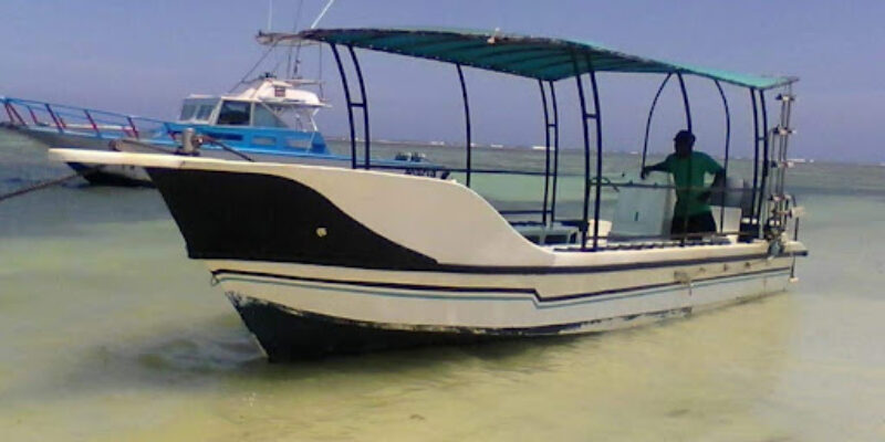 Baracuda Scuba Safaris