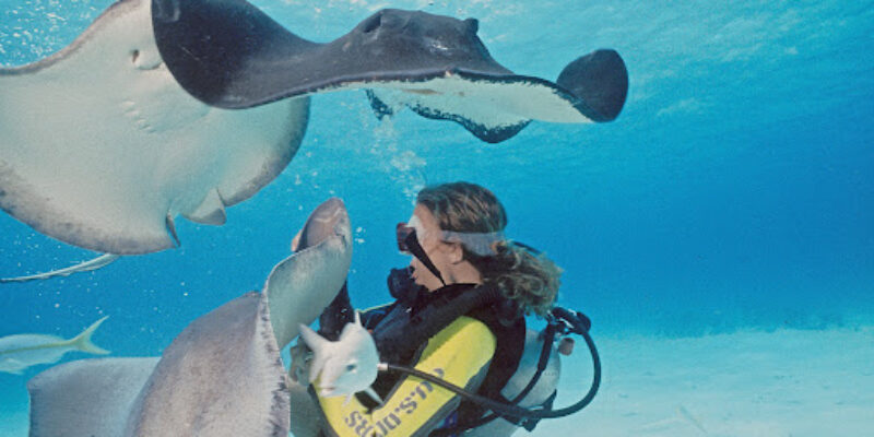 Deep Blue Divers Ltd