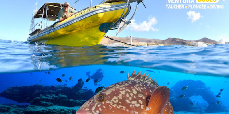 Fuerteventura Buceo