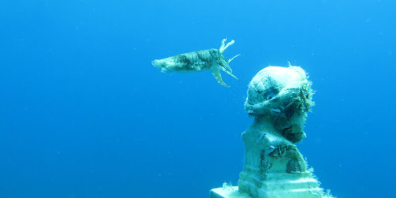 Kerveli Village Diving Center