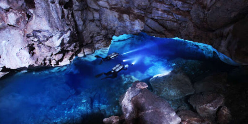 Pro-Diver Development Ltd