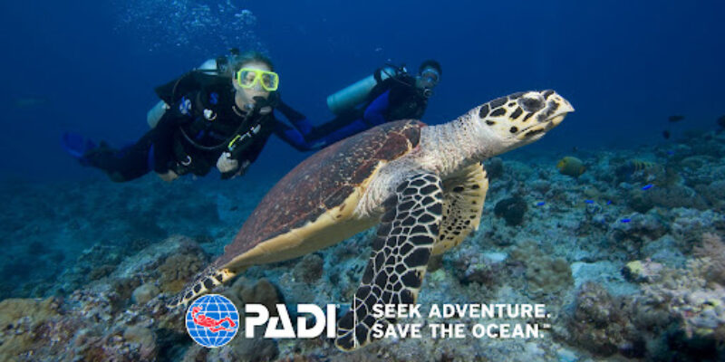 Scuba Birds Co, Ltd