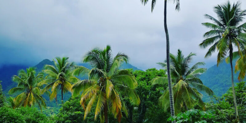 Eco Dive St. Lucia Charters