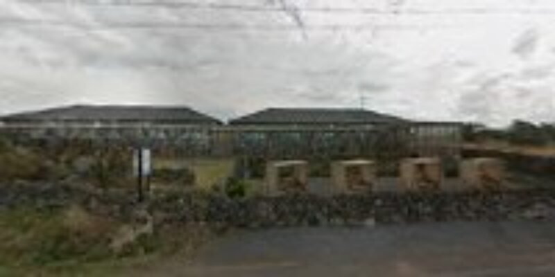 Dolphin Leisure Scuba