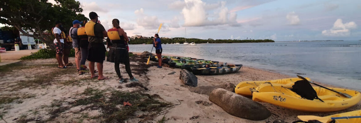 PUERTO RICO ACCESS TOURS
