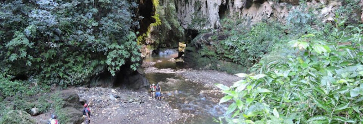 Tanama Tours