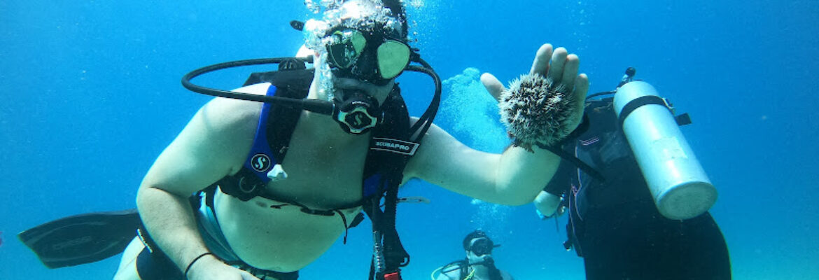 413 Divers