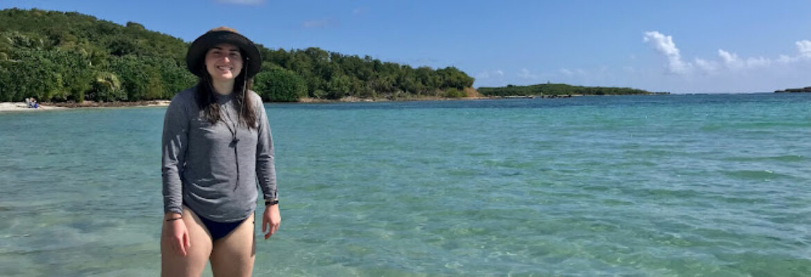Abe’s Snorkeling & Biobay Tours