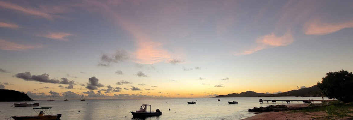 Jak Water Sports Bioluminescent Bay Tour & Rental