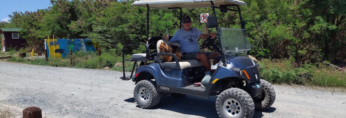 FUN BROTHERS RENTALS & BIO BAY VIEQUES