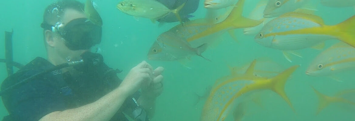 Caribe Aquatic Adventures