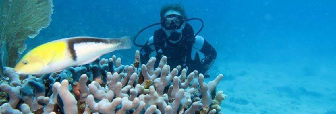 Sea Ventures Pro Dive Centers