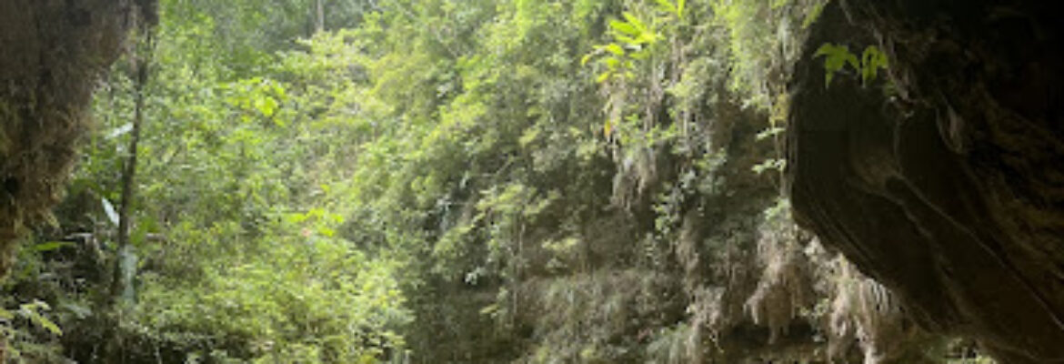 Tanama River Adventures