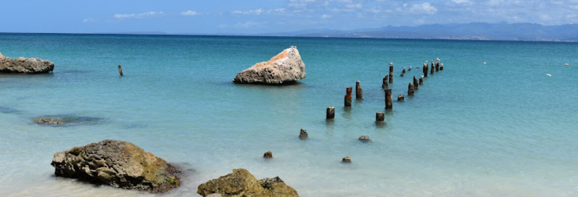 Island Venture Water Excursions