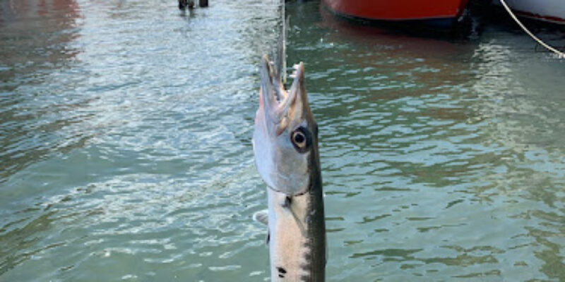 Light Tackle Adventures